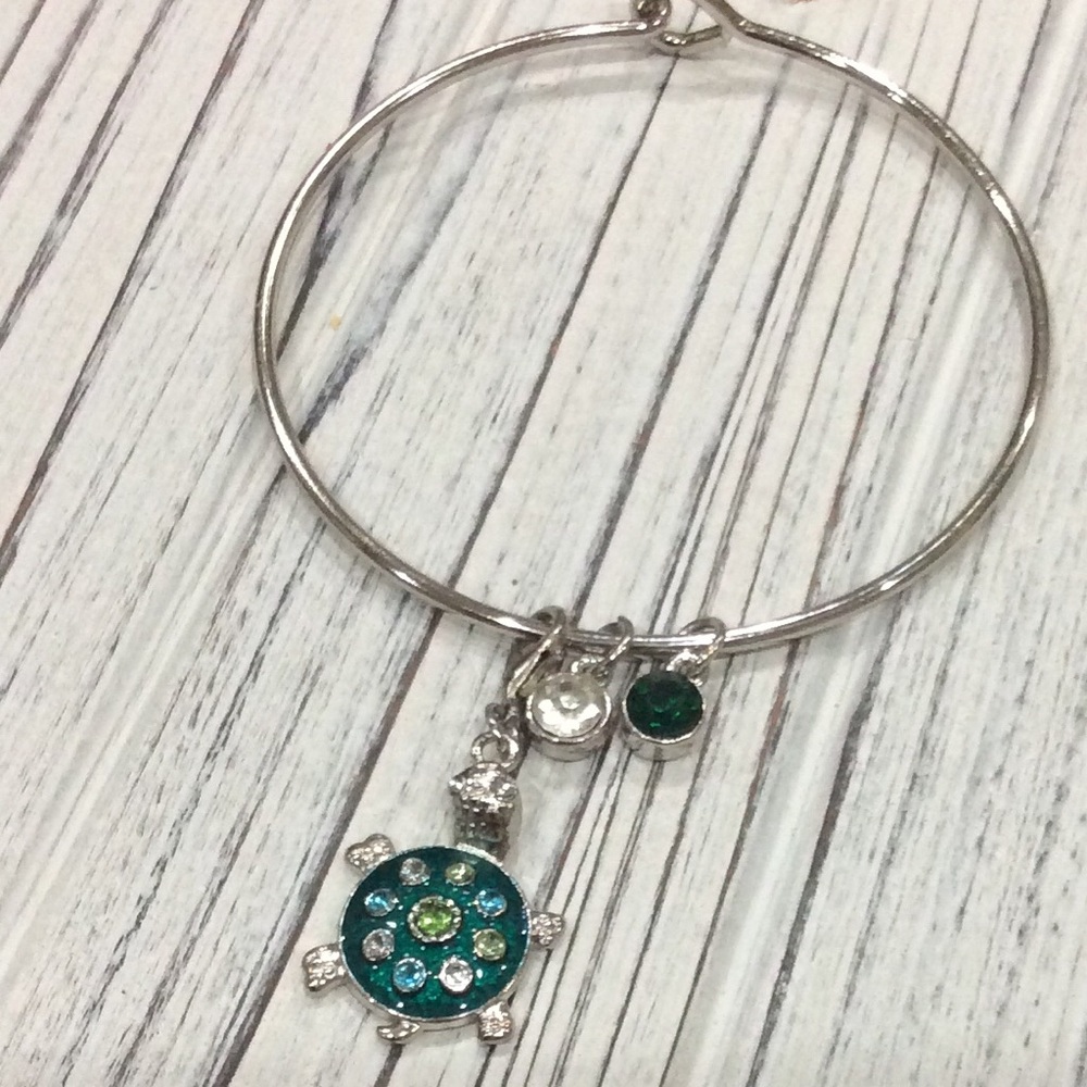 Turtle Charm Bracelet Silver-Tone